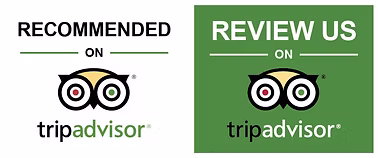 review and recommend