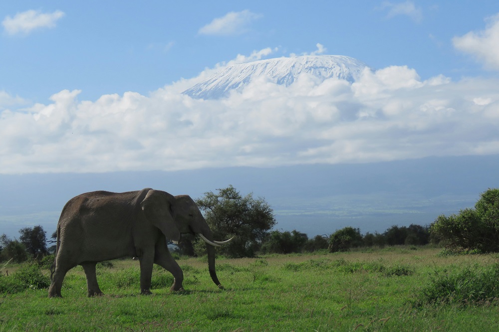 amboseli national park