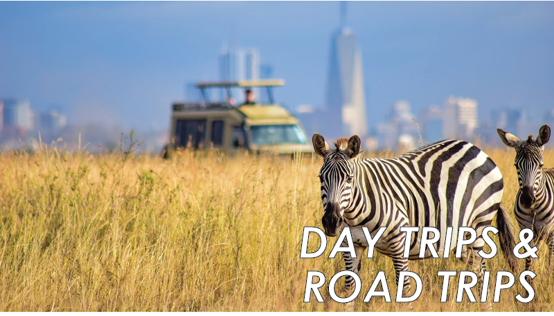 silsah adventures day and road trips