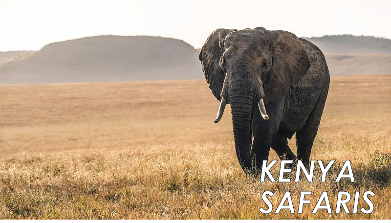 silsah adventures kenya safaris