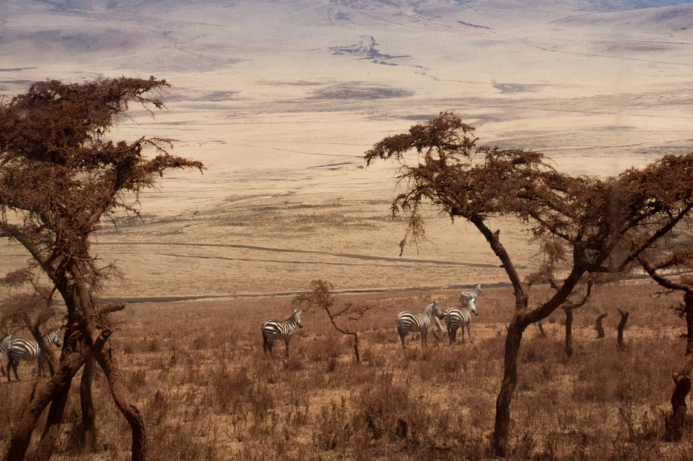 silsah adventures ngorongoro