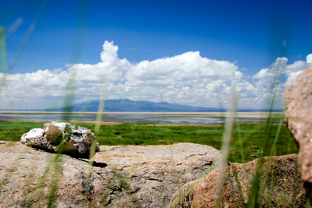 silsahadventures lake manya