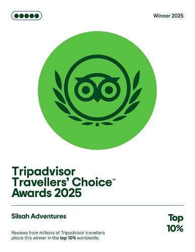 tripadvisor award