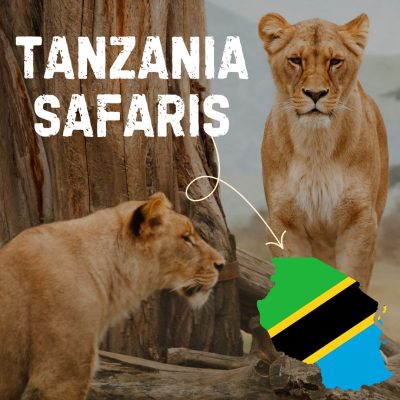 blue and black modern digital marketing agency instagram post (1)